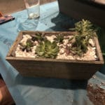 Succulent Workshop with Crystals